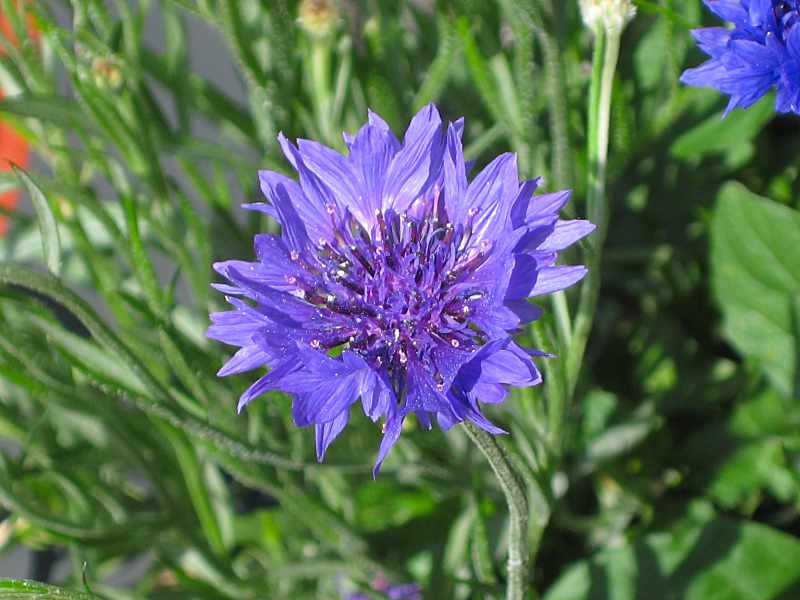 まこと𝕏７ tweet media