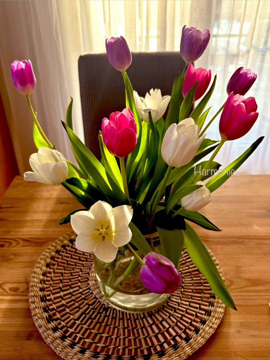 🕊️Harmonie tweet media