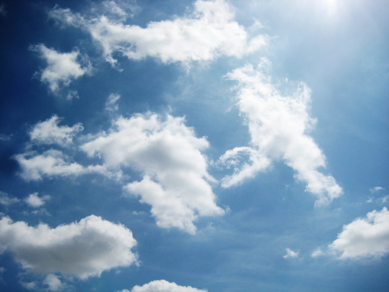 まこと𝕏７ tweet media