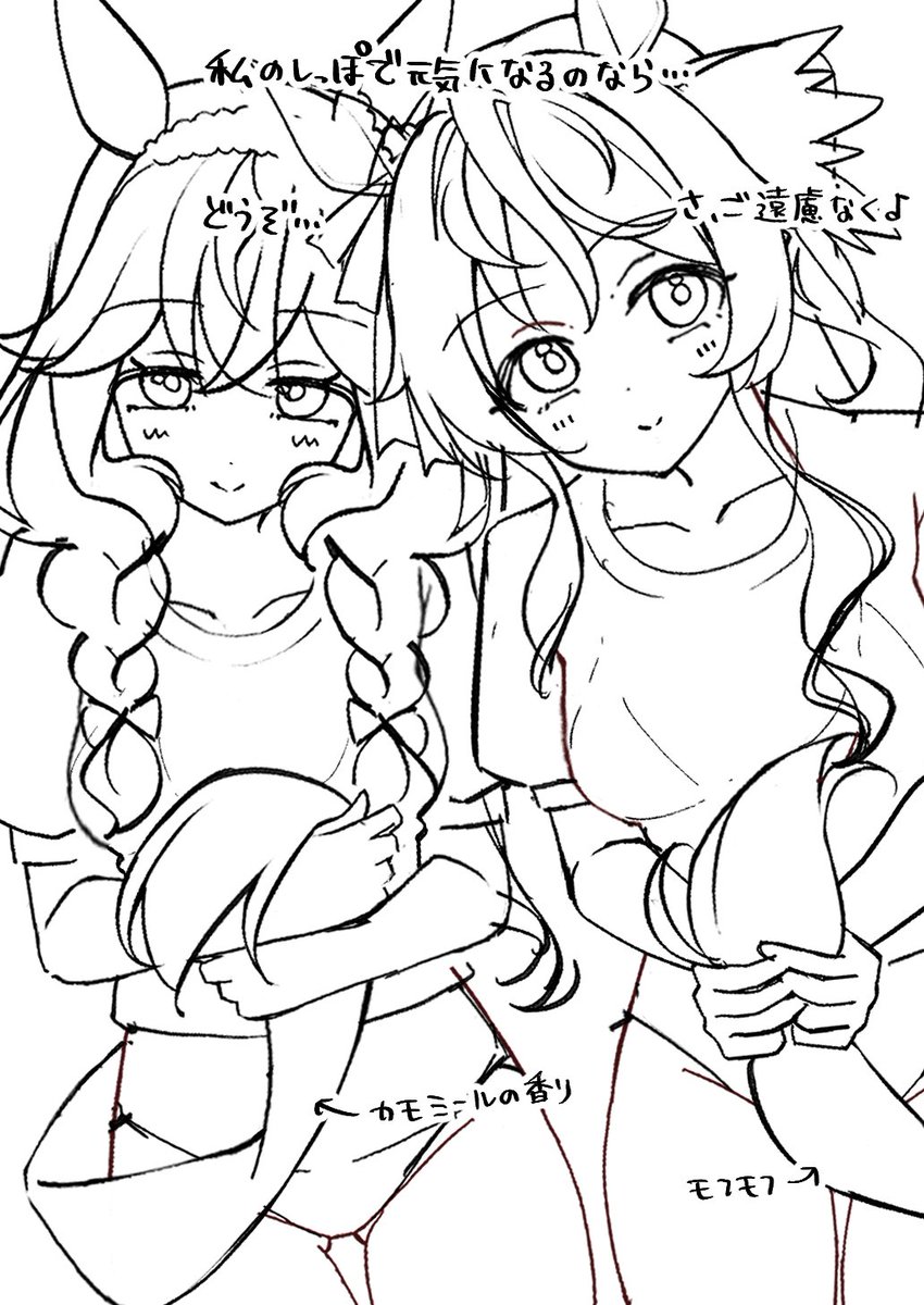 ぽんたのけだま🧶 tweet media