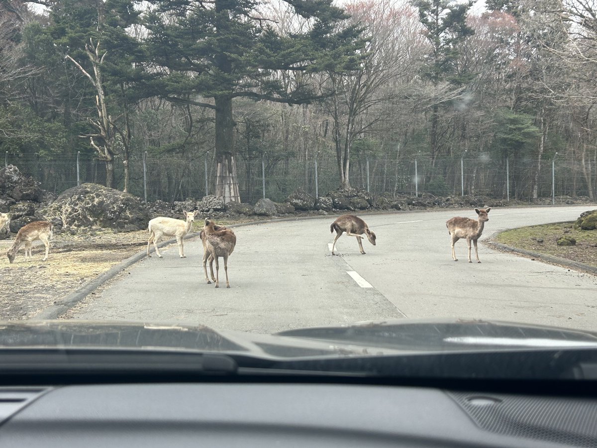 ぐんじ_362 tweet media