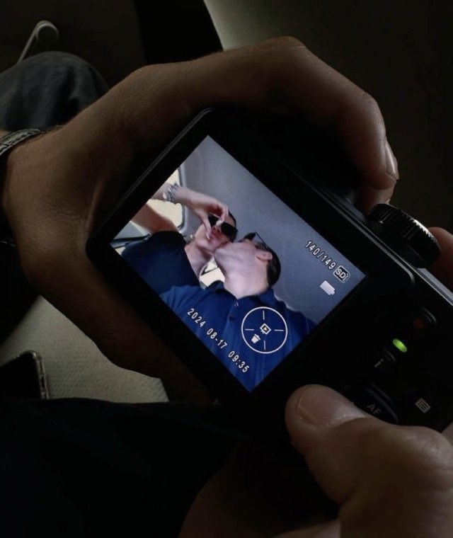 under wild tree tweet media