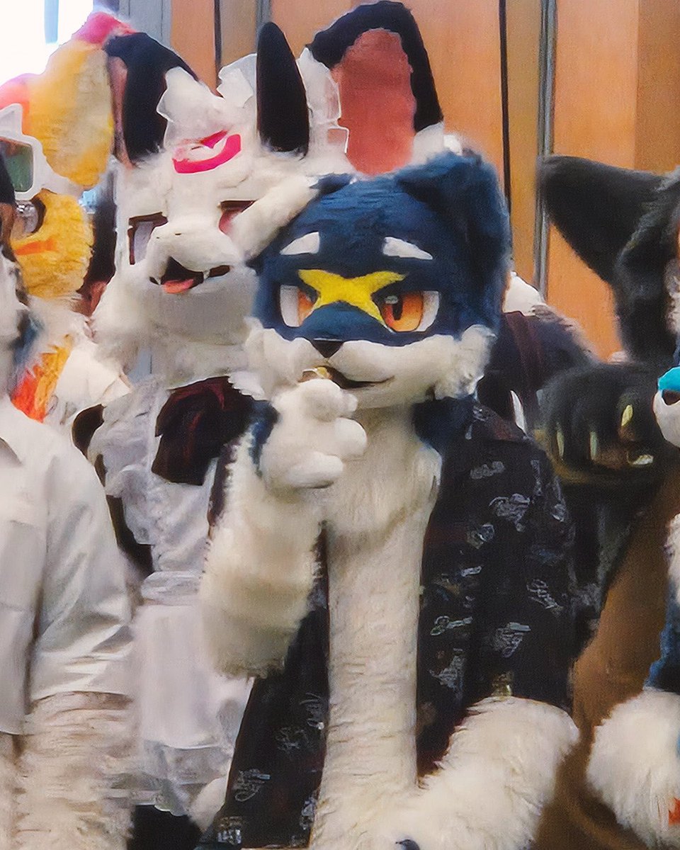 하치@ハチ tweet media