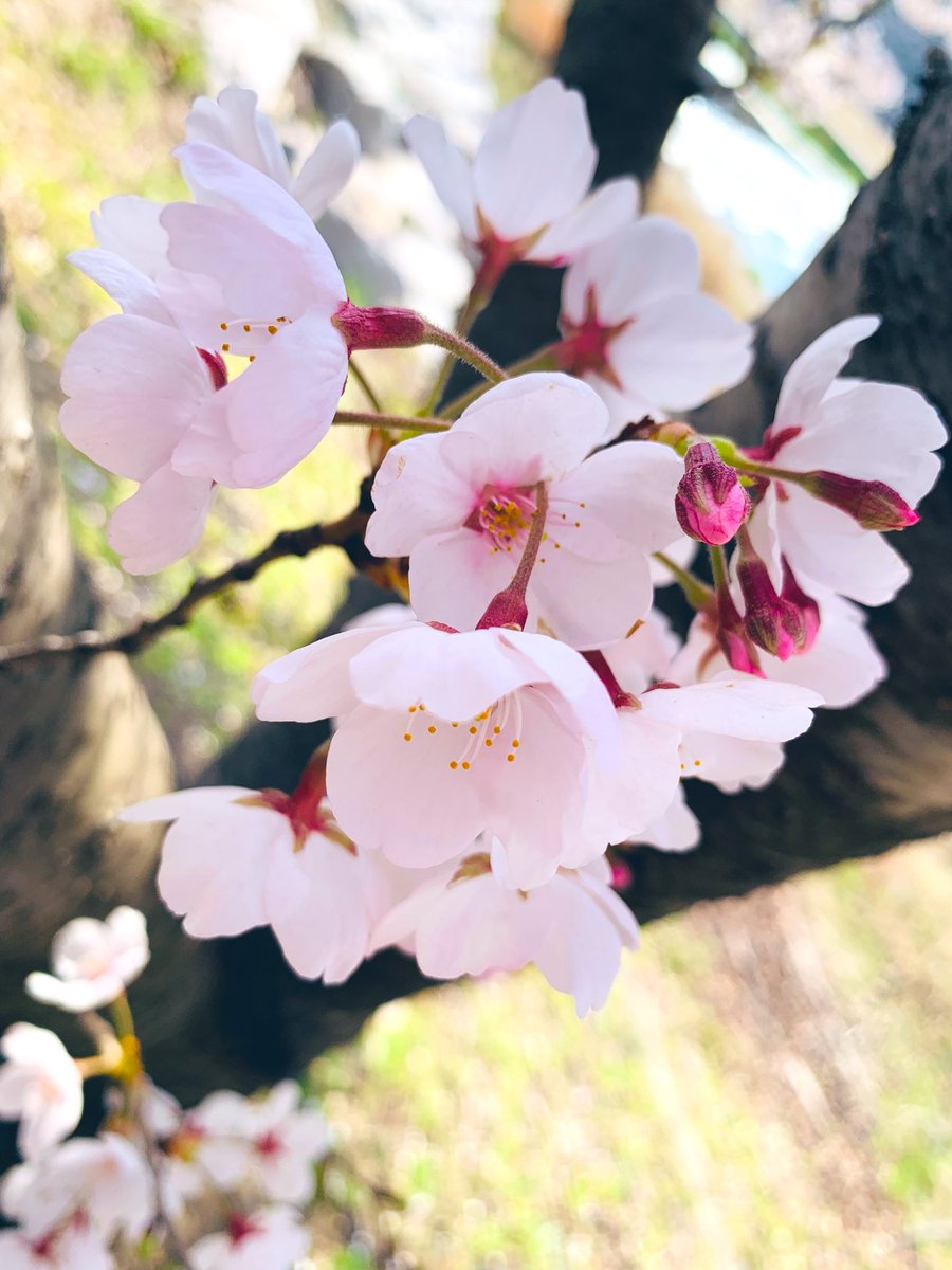 김희숙 tweet media