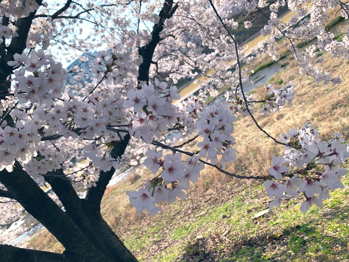 김희숙 tweet media