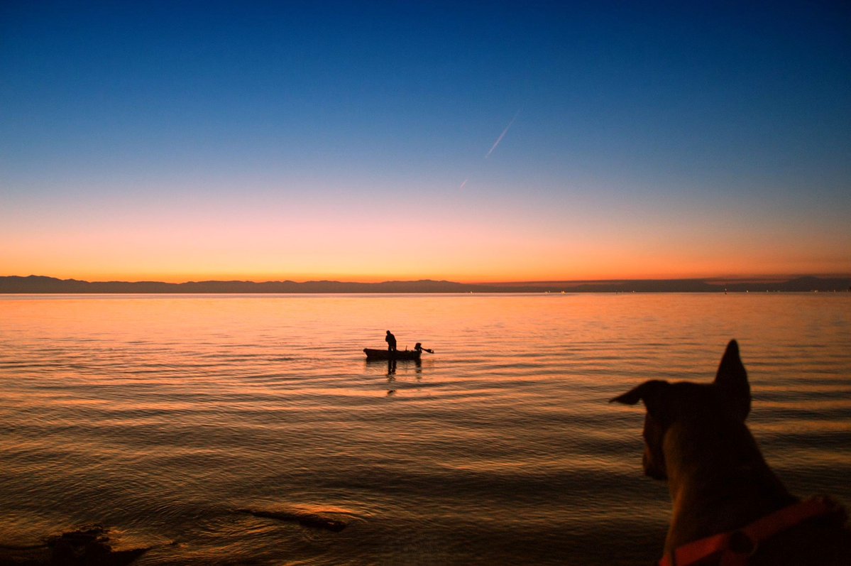 Miltiadis Benakis tweet media