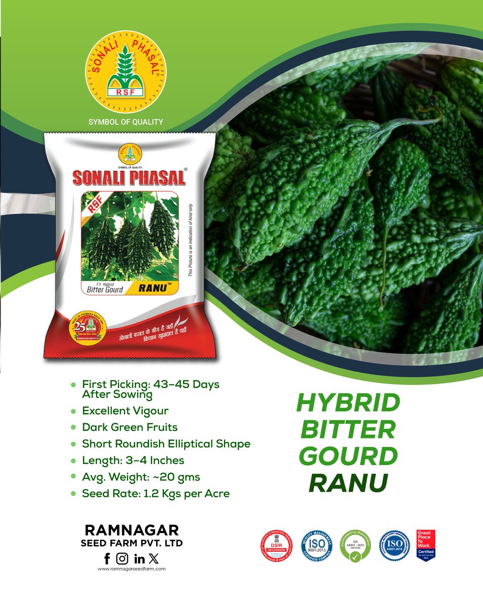 Ramnagar_seed's tweet image. Grow better with Ranu Hybrid Bitter Gourd Seeds, known for early harvesting, strong plant vigour, and attractive dark green fruits. Ideal for farmers aiming for quick and quality produce.

#RamnagarSeedFarm #BitterGourd #VegetableFarming #HighYieldCrops #AgricultureIndia