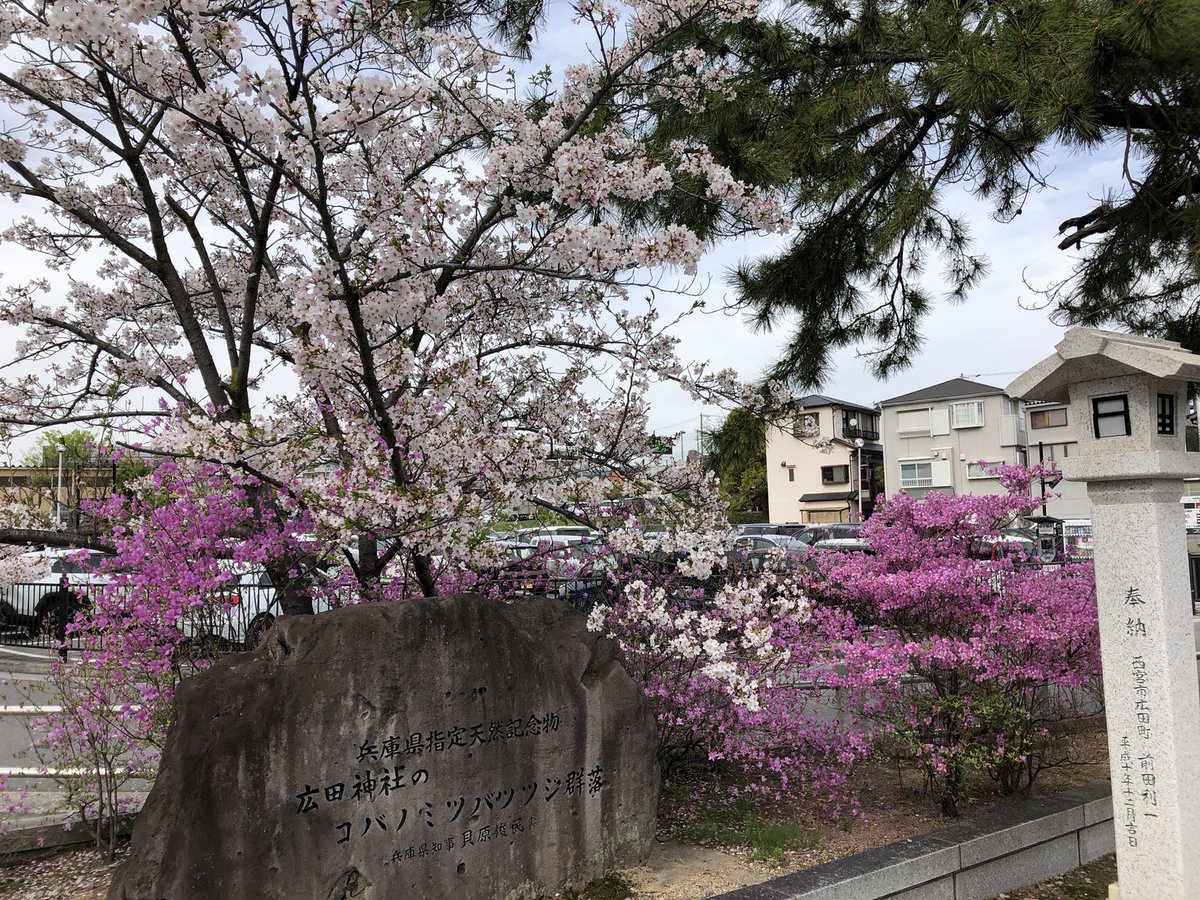 daluhmann tweet media