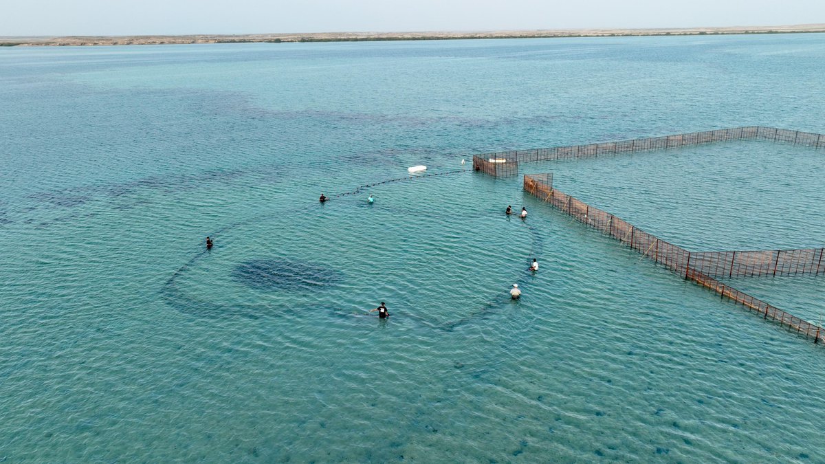 إمارة منطقة جازان tweet media