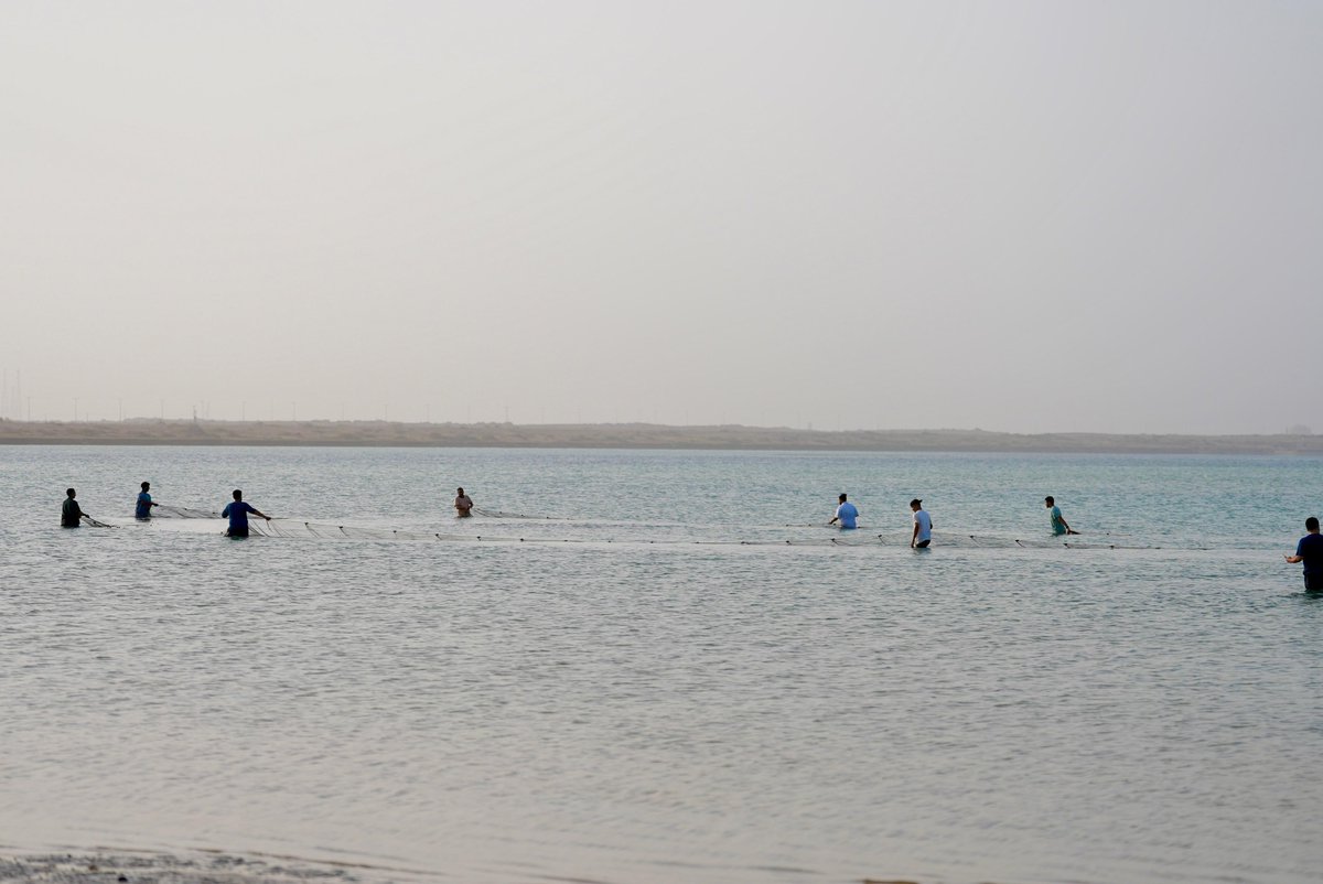 إمارة منطقة جازان tweet media