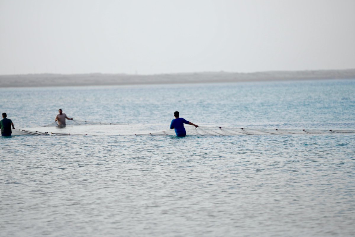 إمارة منطقة جازان tweet media