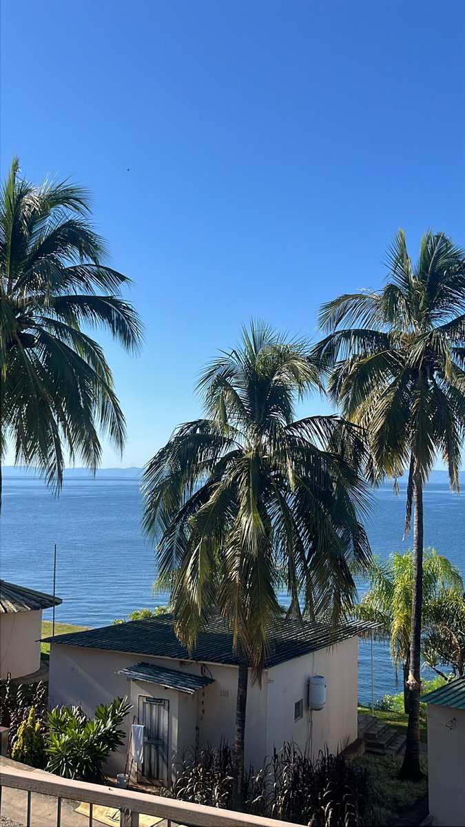 ChimwemwE tweet media