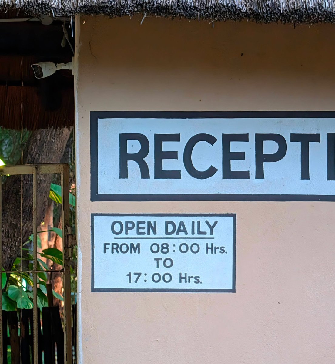 Mr. Forbes 🦁! tweet media