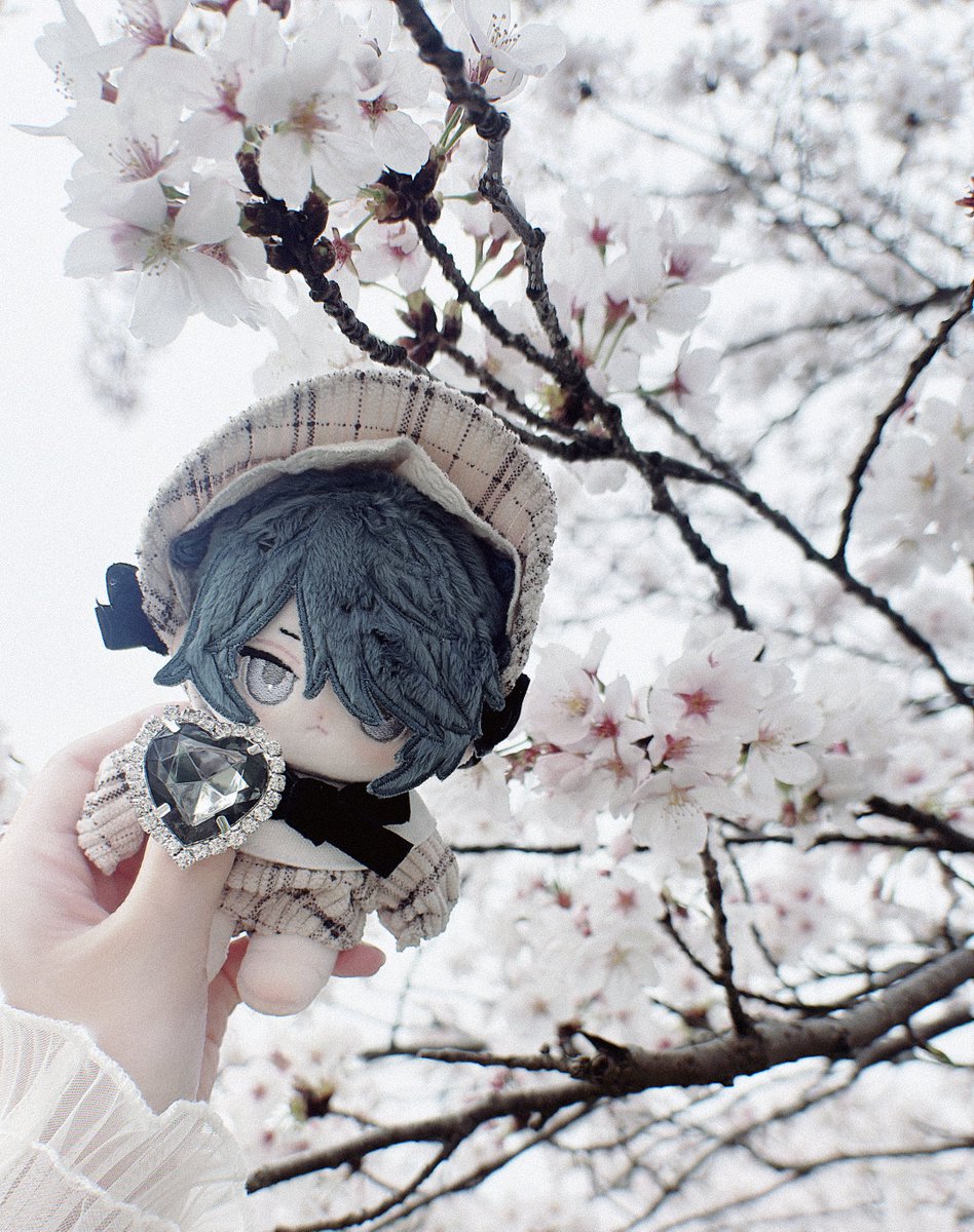 うさぎのしっぽ tweet media