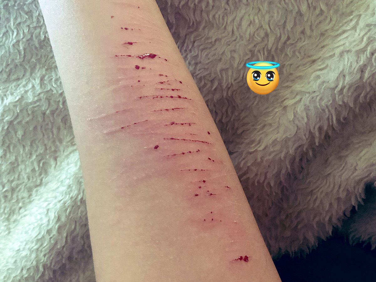 Isaac / Devilcat del SHTWT tweet media