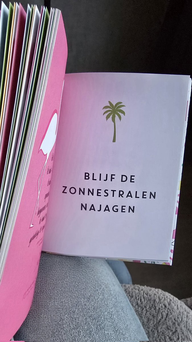 M☀️☀️naaa Zonnestraal des vaderlands tweet media