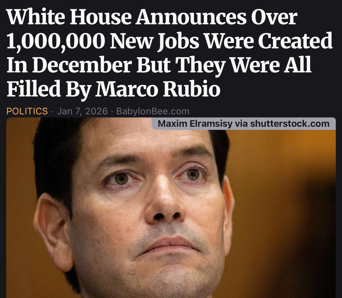 Thin Mint Cookies Lover tweet media