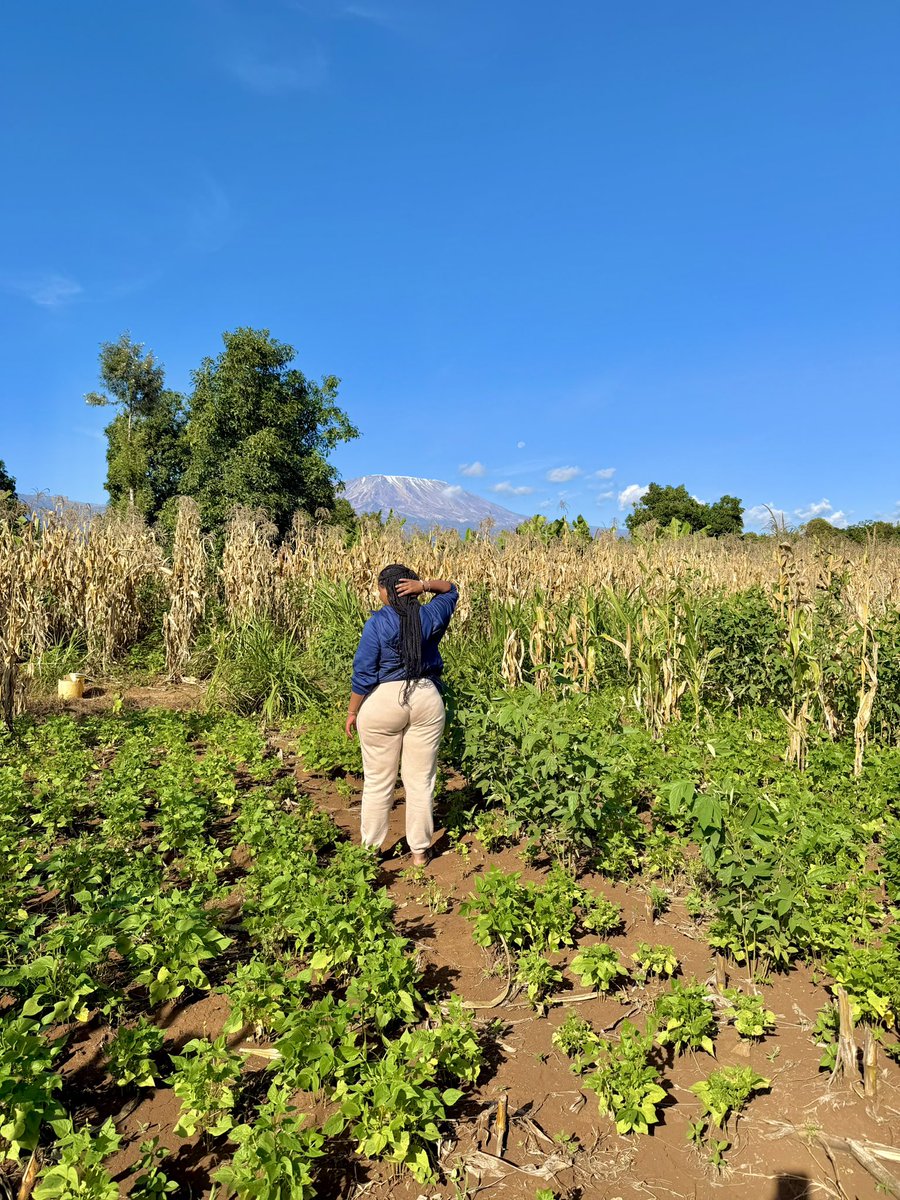 Mercy Masai tweet media