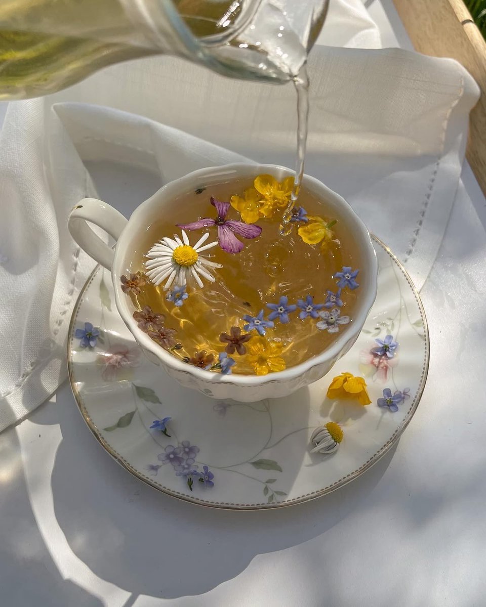 🥥토니🐿️🏔️ tweet media