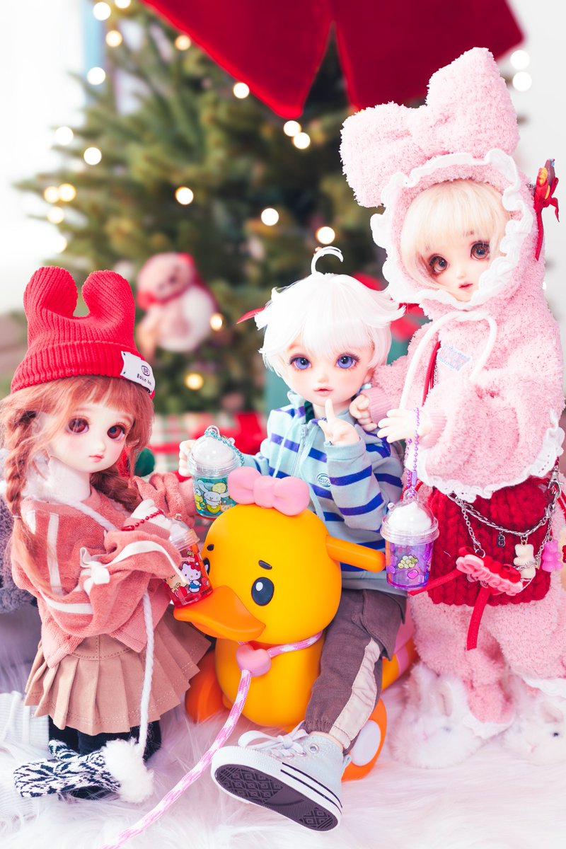 보리🍤 tweet media