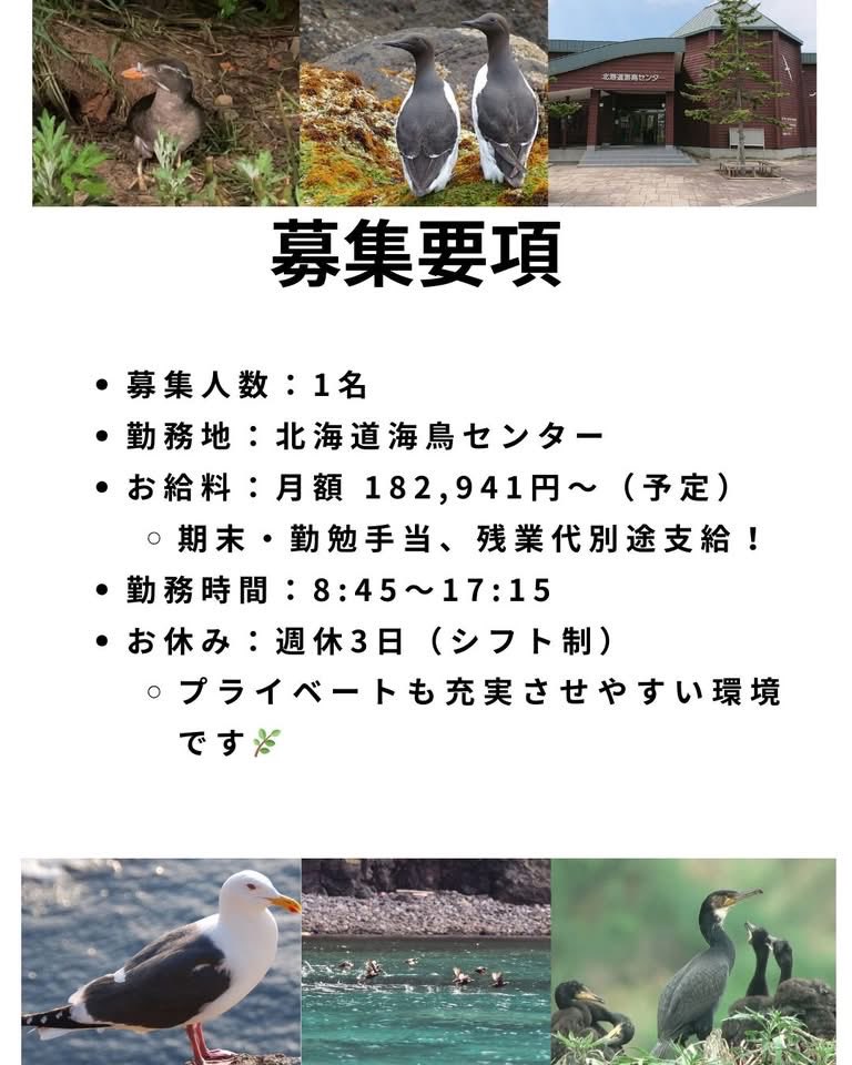 やぶちゃん tweet media