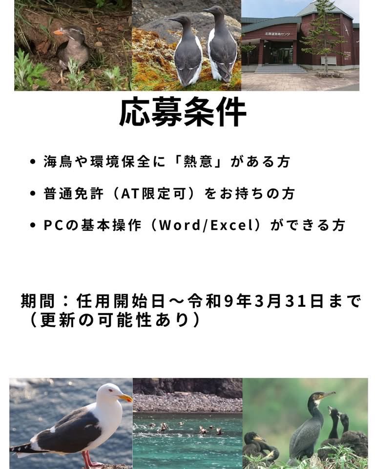 やぶちゃん tweet media