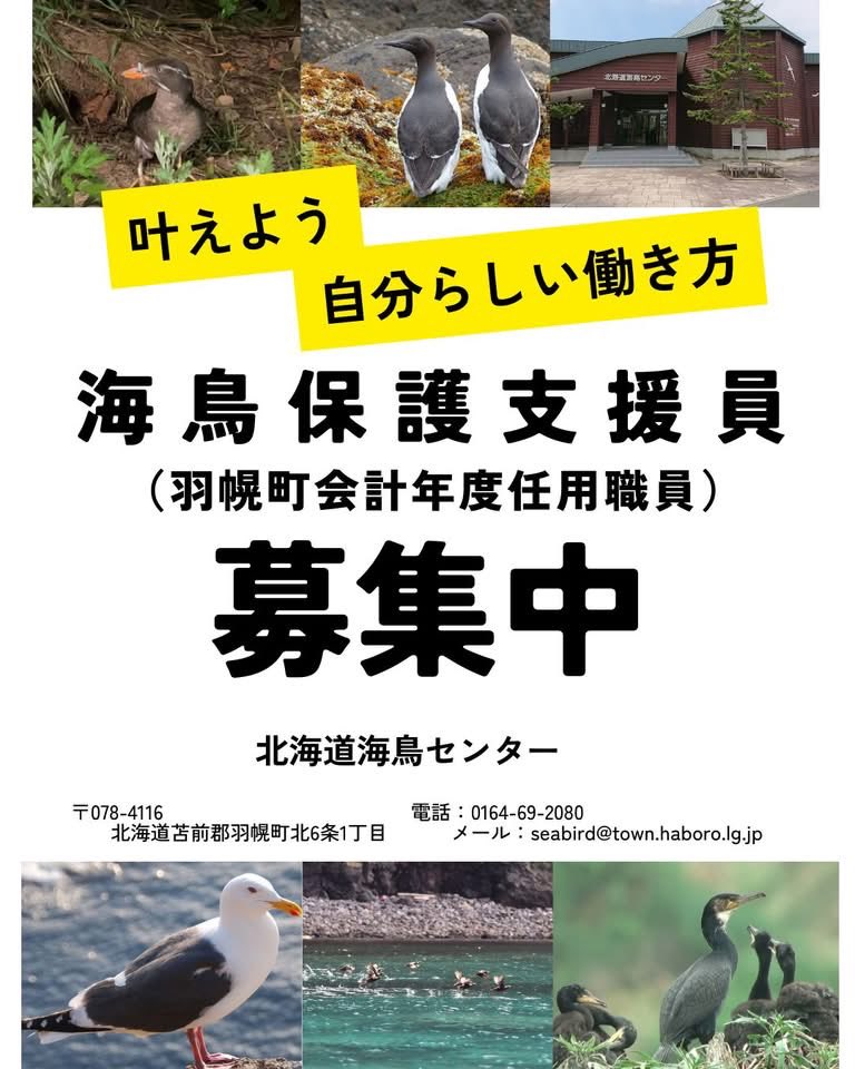 やぶちゃん tweet media