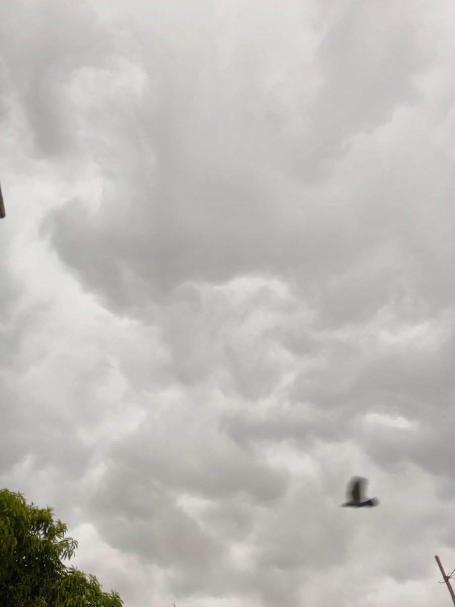 𝑹𝒆𝒗𝒂𝒕𝒉𝒊 💜 tweet media