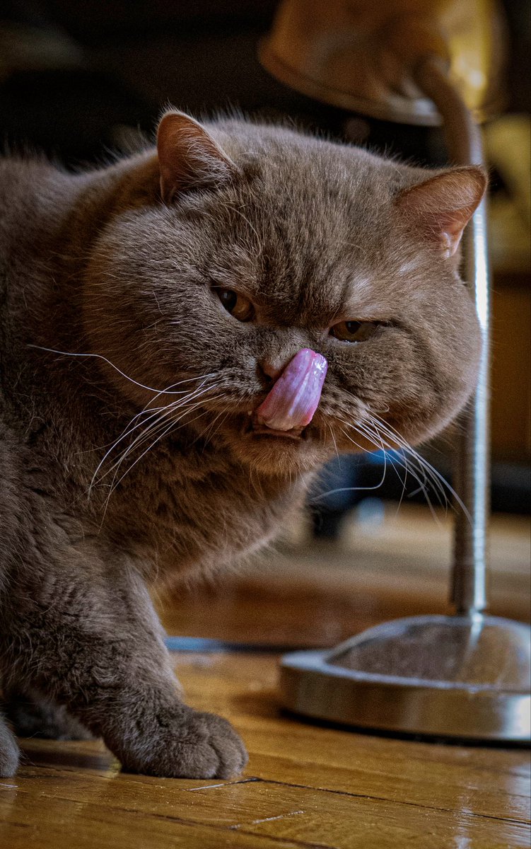 Jan Krčál tweet media