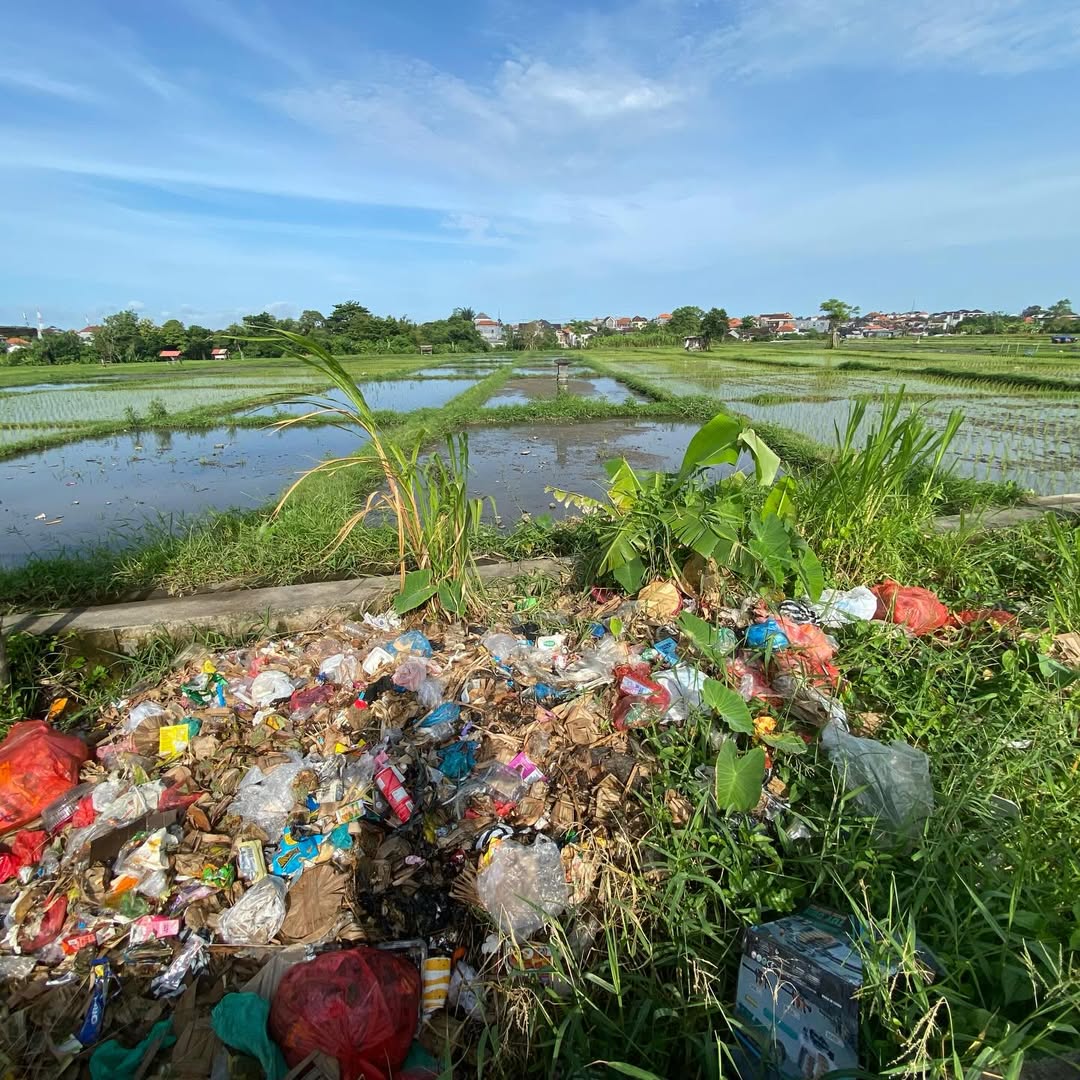 BaleBengong tweet media