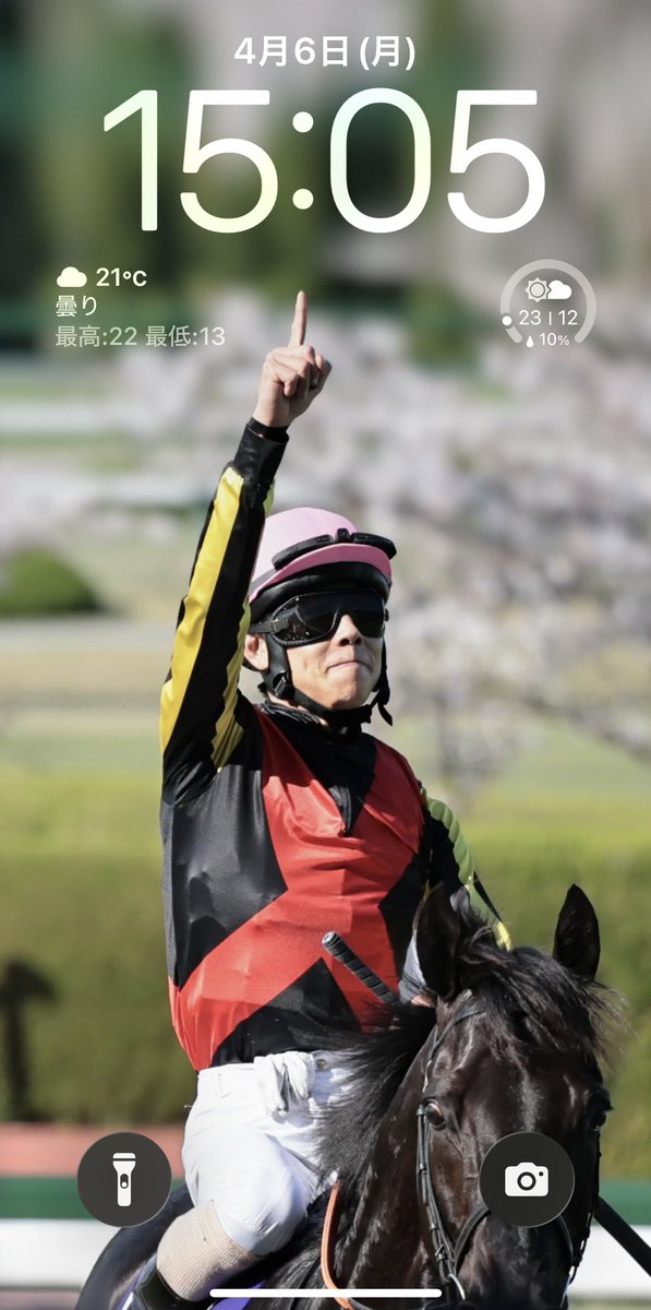 M i k a 。。＊ tweet media