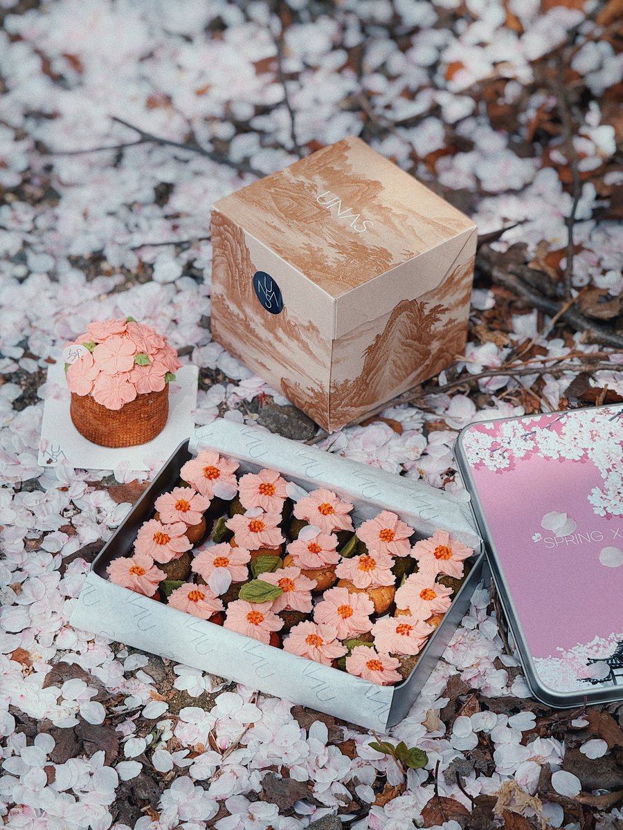 김여행 tweet media