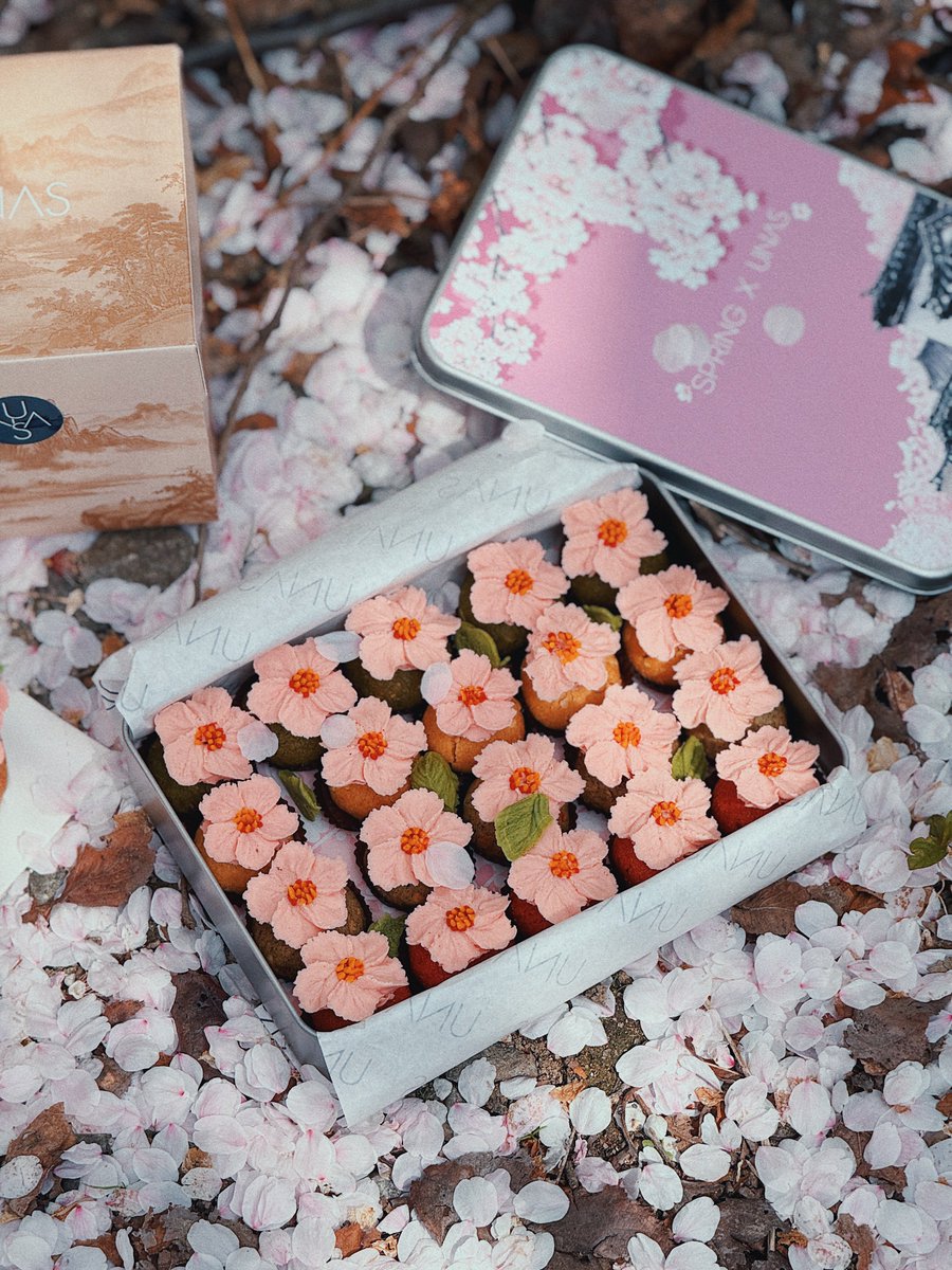 김여행 tweet media