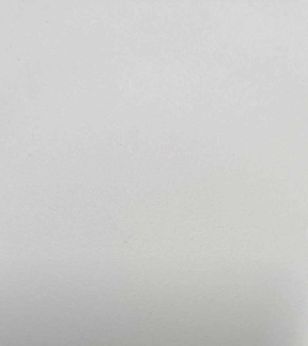 AmazingFroggy ✨🐸 tweet media