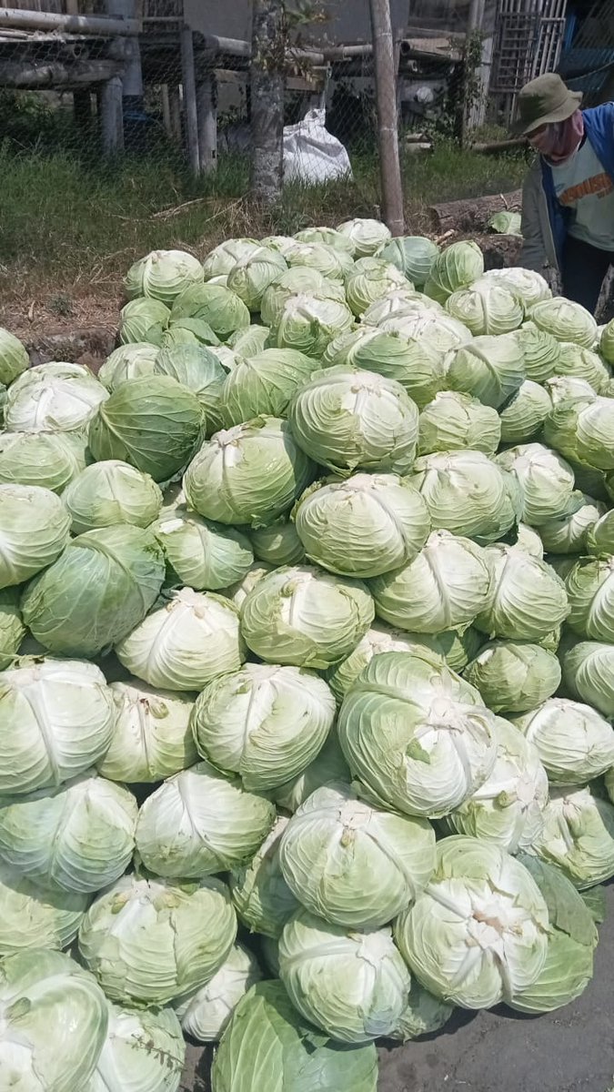 AbU JenaR tweet media