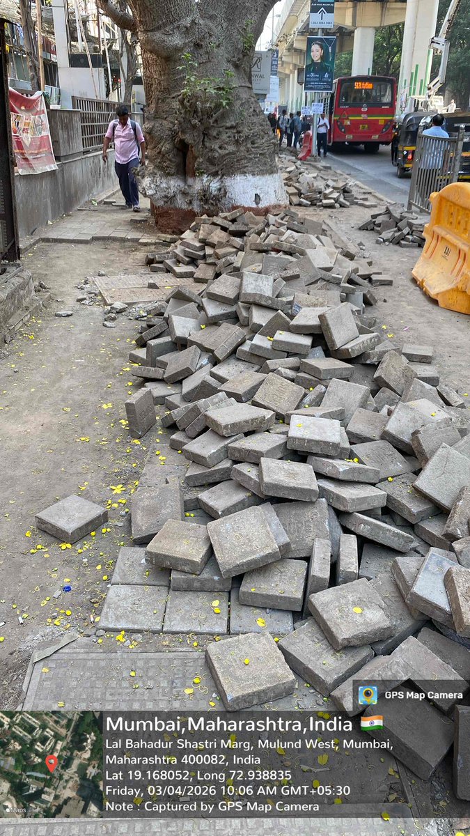 mumbaimatterz's tweet image. Make Break 
Make Break 
Make Break  

Repeat

Paver Block ∞ Stamped Concrete∞ Paver Block ∞ Repeat

The "Upheaval" Continues forever in #Mumbai

📸 © @MARWAMulund