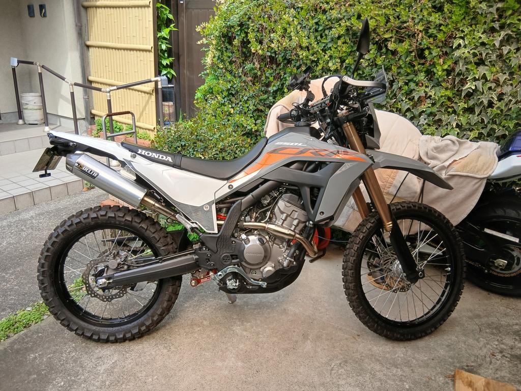 前期高齢者ハル(たぶん鈴菌感染者) tweet media