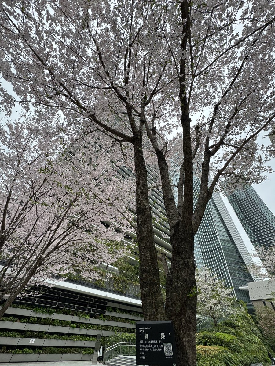 そねってぃ tweet media