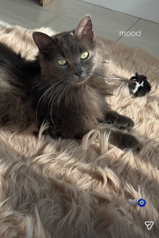 ash 💅 tweet media