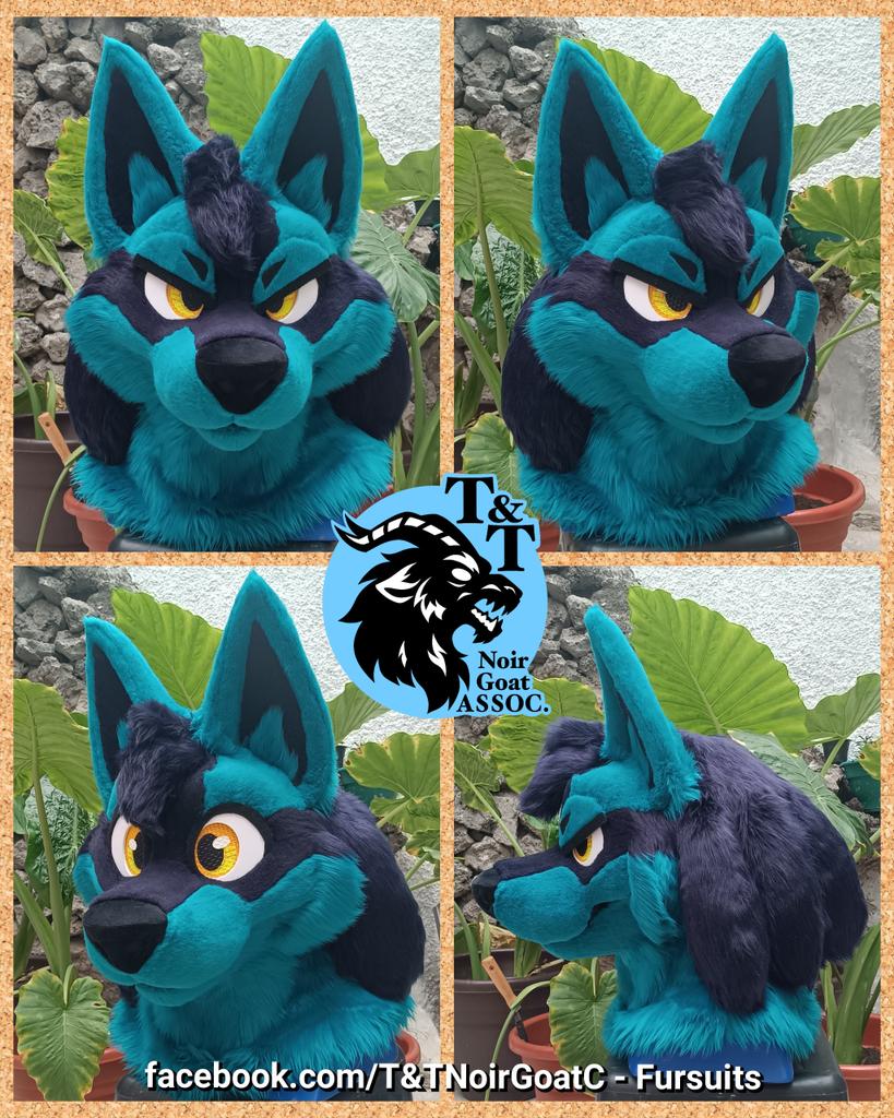 T&T Noir Goat ASSOC. tweet media