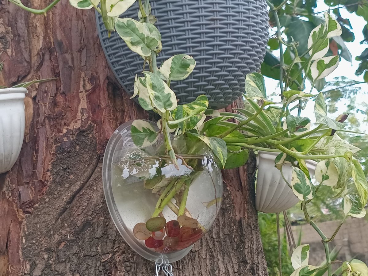 Noor 🌑 tweet media