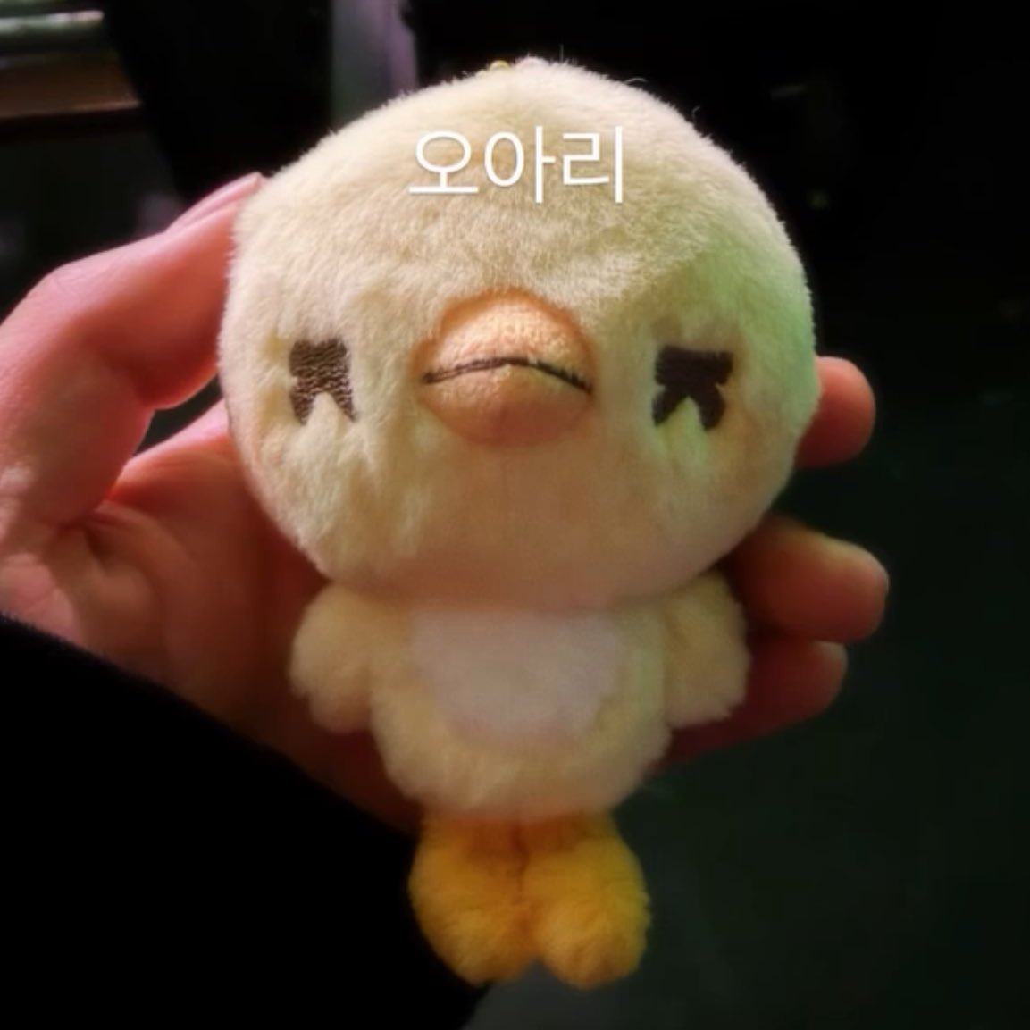 tulip🥕 tweet media