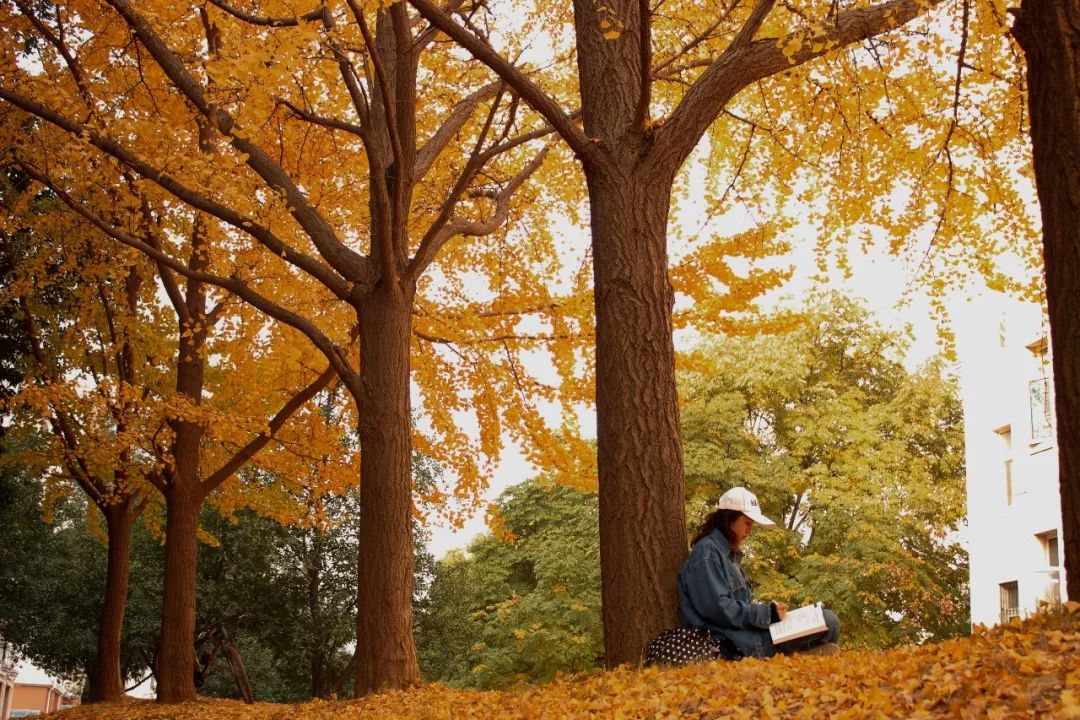 Nutnicha tweet media