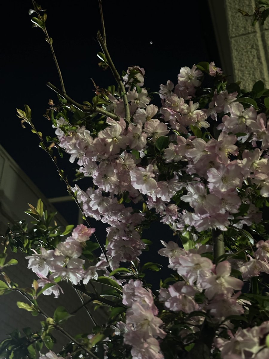 #ICHILLIN #아이칠린 #JIYOON #지윤