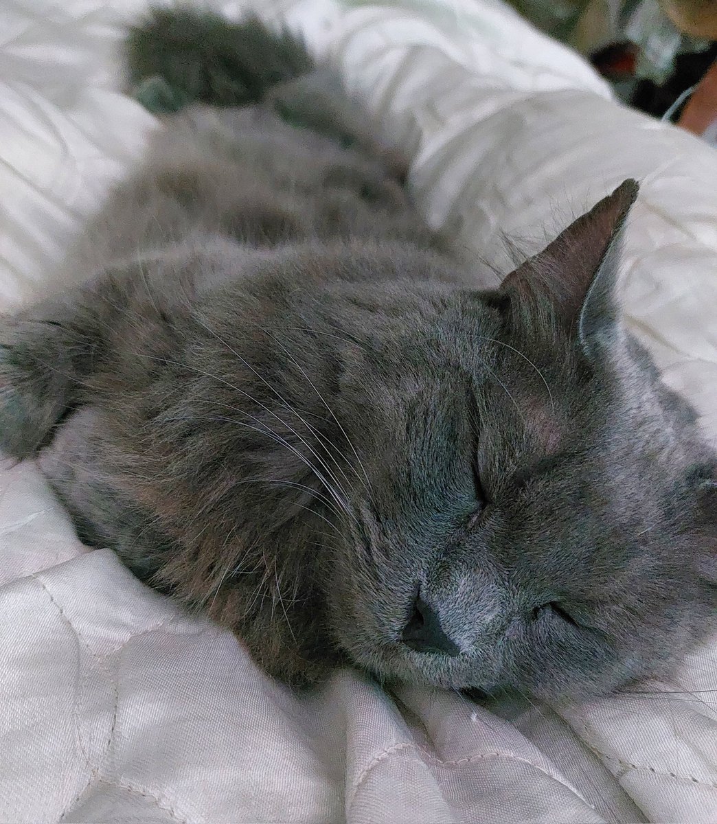 바다 ⁷🥢 ❤️‍🔥ㅇㄹㄹ❤️‍🔥 tweet media