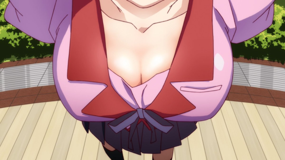 Daily Hanekawa 🐱 tweet media