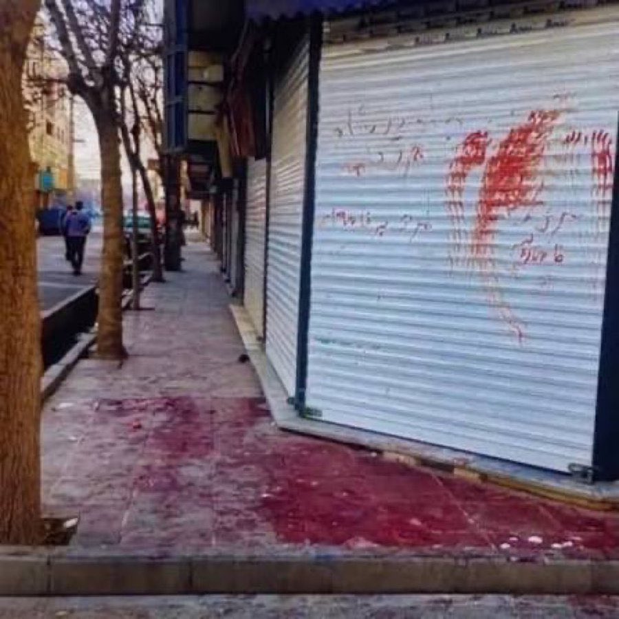 Mayra Yazdari tweet media