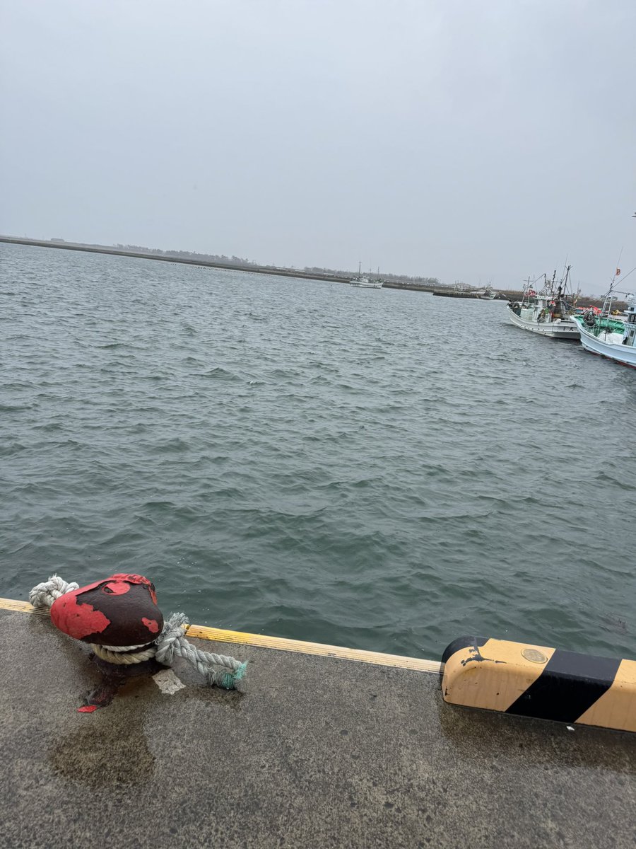 1103kittychan's tweet photo. 亘理の海と鳥の海
私の中に「土地」のディテールが少し入った。山までの距離感もわかった。3キロ先の国道沿いまで流される理由もわかった気がした。
#小さな神たちの祭り https://t.co/MOCCGPwdw8
