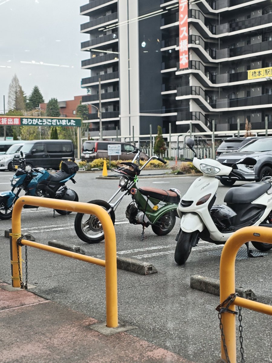 モトパシ tweet media