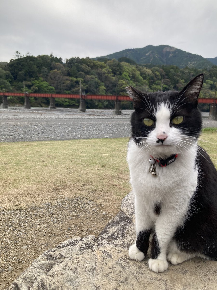 chan😊🐾 tweet media